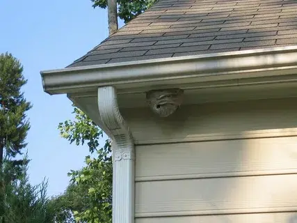 Soffit And Fascia Services